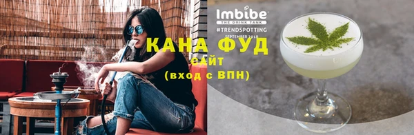 мдпв Каменка
