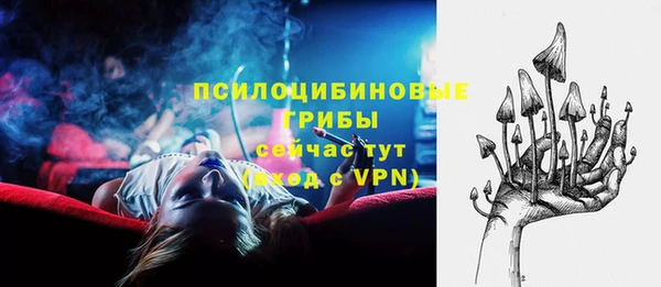 мдпв Каменка