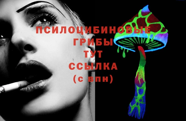 мдпв Каменка