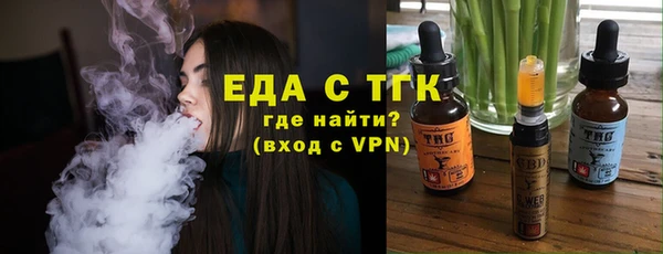 мдпв Каменка