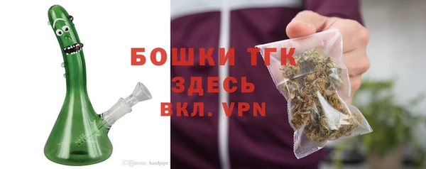 мдпв Каменка