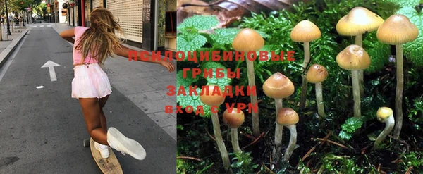 прущие крисы Каменск-Шахтинский