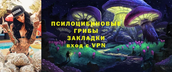 а пвп мука Инсар