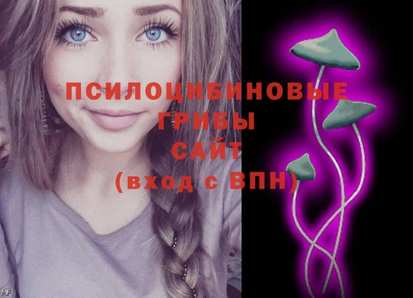 мдпв Каменка