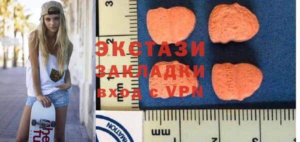 мдпв Каменка