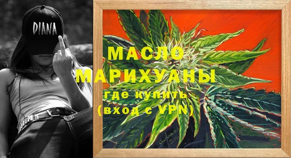 мдпв Каменка