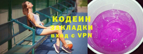 мдпв Каменка