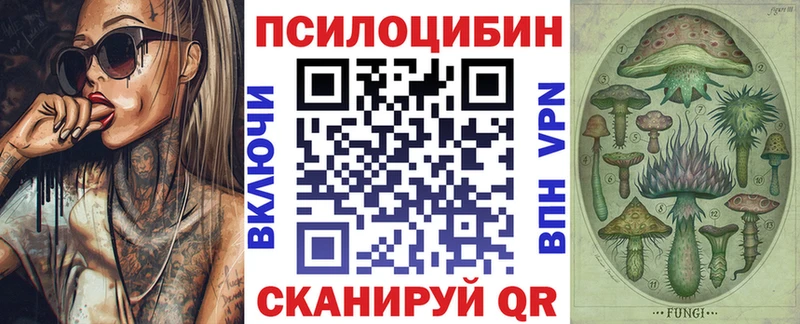 Галлюциногенные грибы GOLDEN TEACHER Гатчина